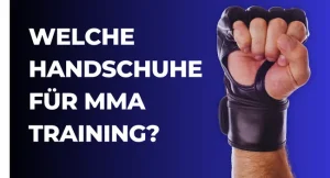 welche handschuhe für mma training